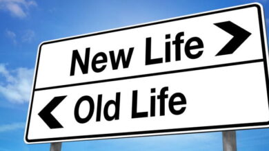 Photo of Новая жизнь с чистого листа — картинки: бесплатные фото