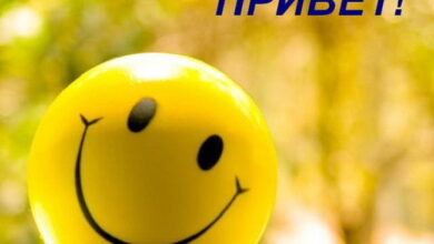 Photo of Картинки Привет (99+)