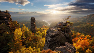 Photo of Картинки: скачать бесплатно