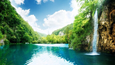 Photo of Скачать красивые картинки: бесплатные фото