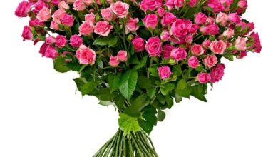 Photo of Картинки букеты цветов: бесплатные фото