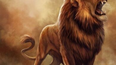 Photo of Картинки для ВК на аву: бесплатные фото