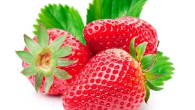 Photo of Клубника — картинки: бесплатные фото