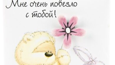 Photo of Мне повезло с тобой — картинки: бесплатные фото