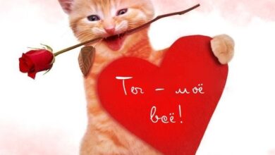 Photo of Игорь, я тебя люблю — открытки: бесплатные картинки