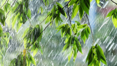 Photo of Картинки дождь: бесплатные фото