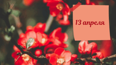 Photo of Картинки Доброе утро 13 апреля