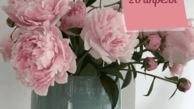 Photo of Картинки Доброе утро 20 апреля