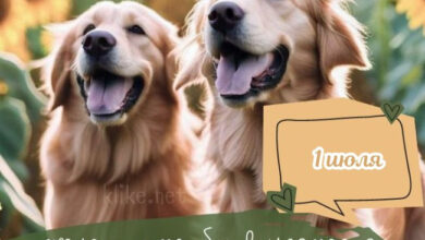 Photo of Картинки с пожеланиями на 1 июля