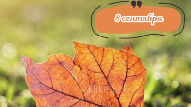 Photo of Открытки с пожеланиями на 8 сентября: бесплатные картинки