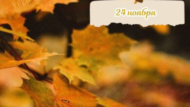 Photo of Открытки с пожеланиями на 24 ноября: бесплатные картинки