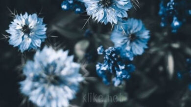 Photo of Картинки с пожеланиями на 23 марта: Смешные открытки