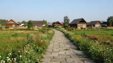 Photo of Как сделать дорожки на даче своими руками: выбор материалов и пошаговая инструкция